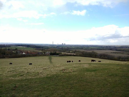 Little Wittenham Nature Reserve